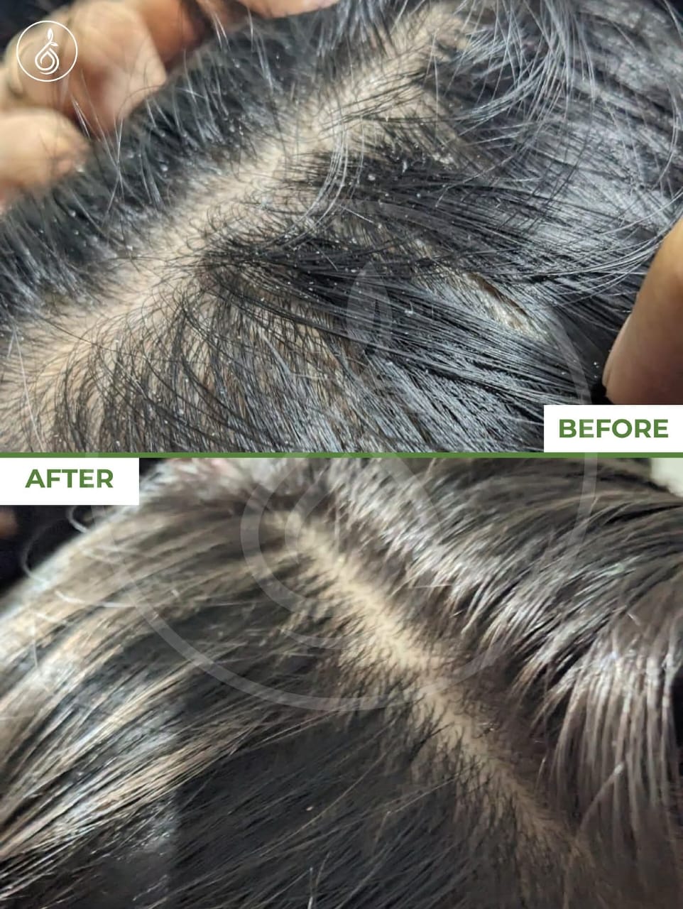 AQ ORGANIC HAIR REPAIRE OIL